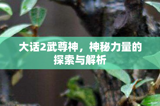神秘力量的探索与解析图片