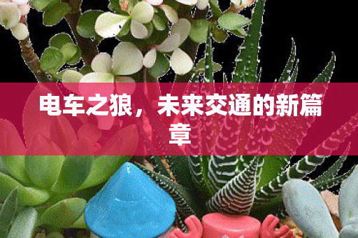 未来交通的新篇章图片