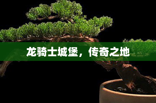 龙骑士城堡图片