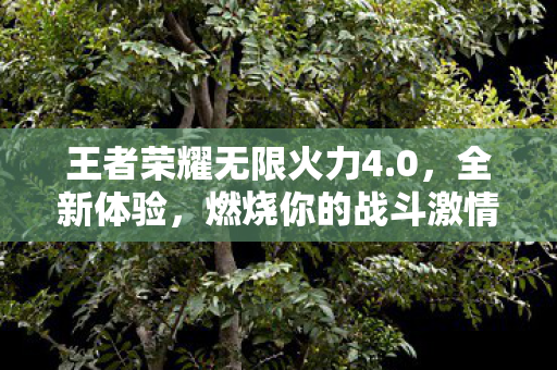 王者荣耀无限火力4图片