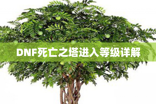 DNF死亡之塔进入等级详解图片