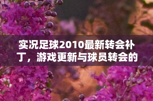 实况足球2010最新转会补丁图片