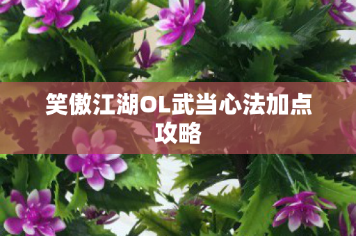 笑傲江湖OL武当心法加点攻略图片