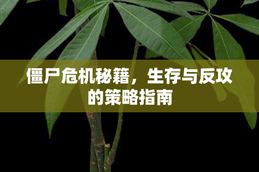 生存与反攻的策略指南图片