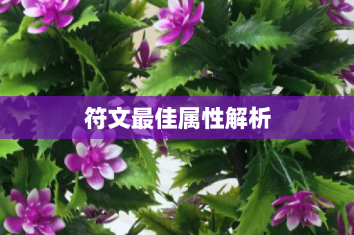 符文最佳属性解析图片