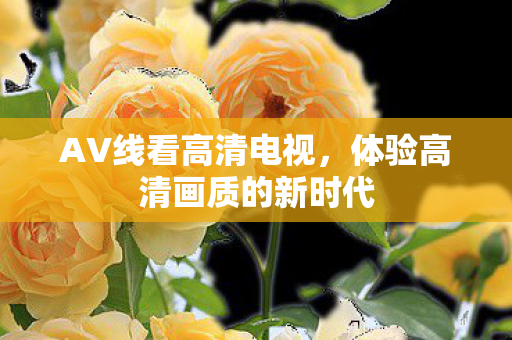 体验高清画质的新时代图片