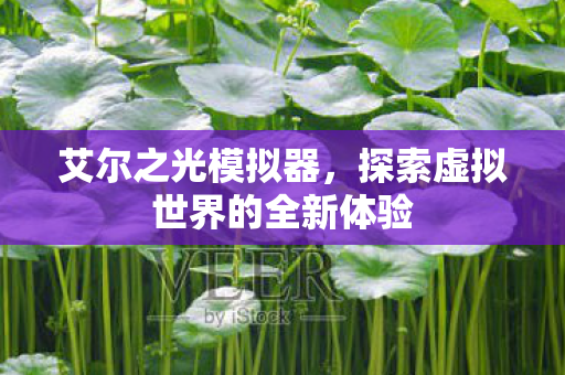 探索虚拟世界的全新体验图片