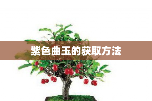 紫色曲玉的获取方法图片