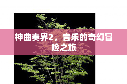 音乐的奇幻冒险之旅图片