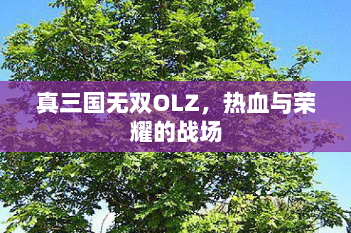 真三国无双OLZ图片