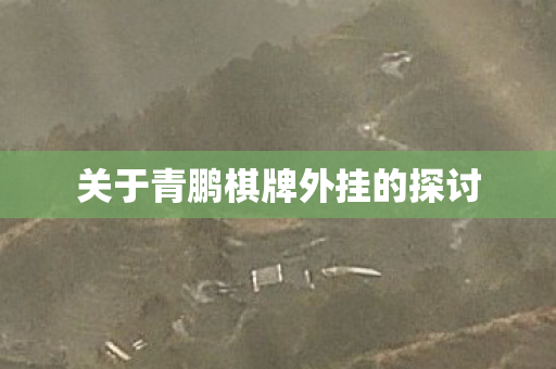 关于青鹏棋牌外挂的探讨图片