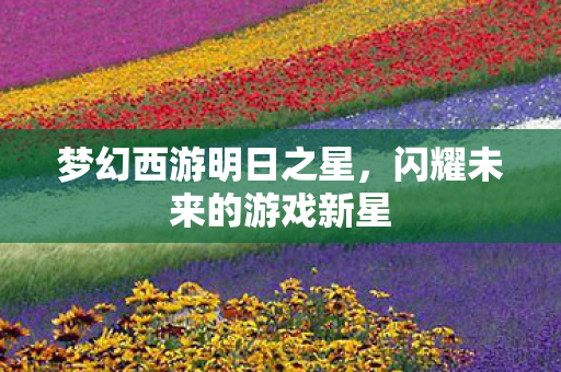 闪耀未来的游戏新星图片