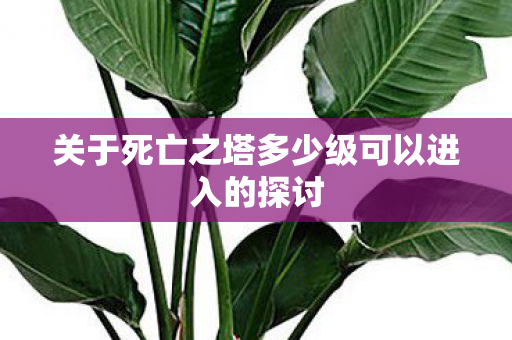 关于死亡之塔多少级可以进入的探讨图片