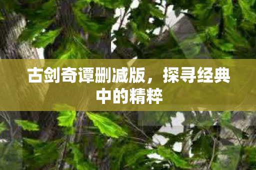 探寻经典中的精粹图片