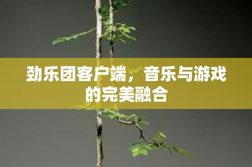 音乐与游戏的完美融合图片