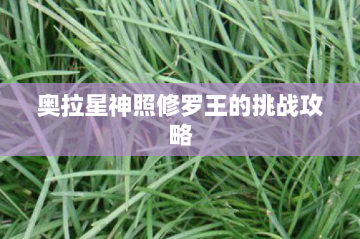 奥拉星神照修罗王的挑战攻略图片