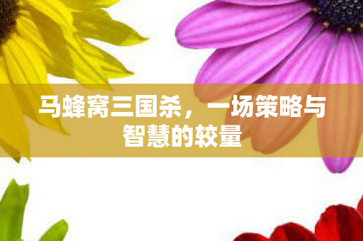 一场策略与智慧的较量图片