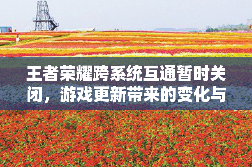 王者荣耀跨系统互通暂时关闭图片