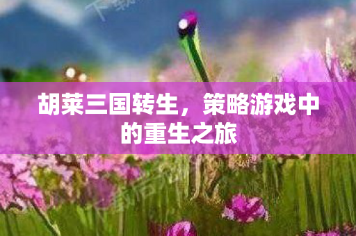 策略游戏中的重生之旅图片