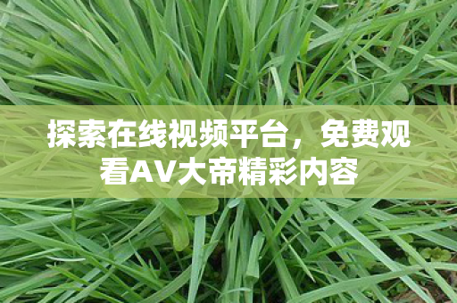 免费观看AV大帝精彩内容图片