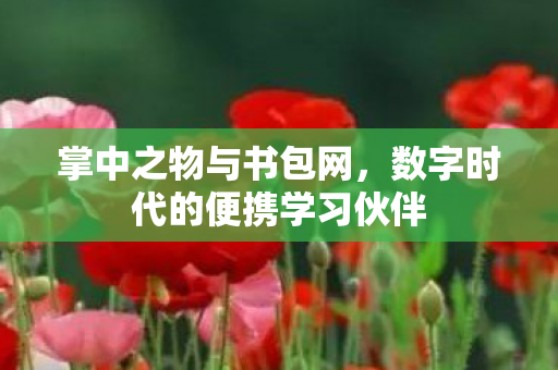 数字时代的便携学习伙伴图片