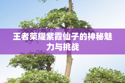王者荣耀紫霞仙子的神秘魅力与挑战图片