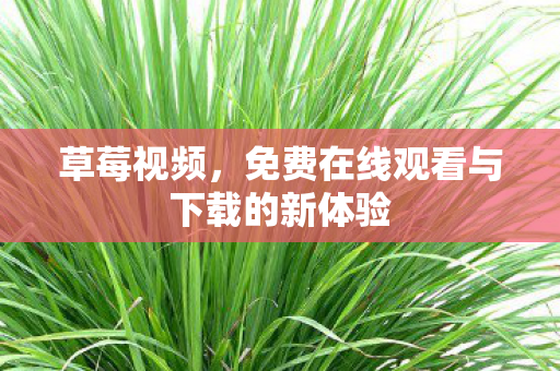 免费在线观看与下载的新体验图片