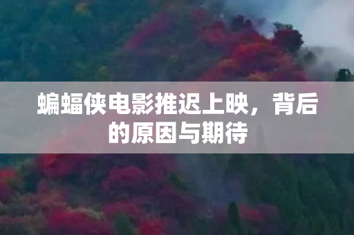 蝙蝠侠电影推迟上映图片