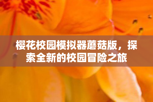 探索全新的校园冒险之旅图片