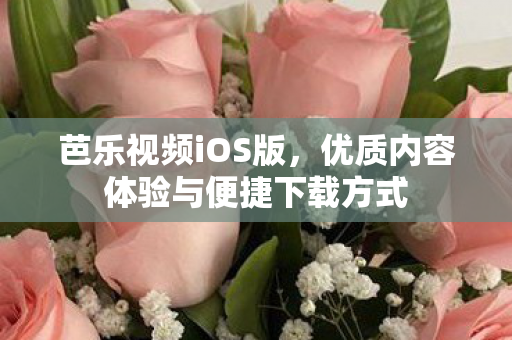 优质内容体验与便捷下载方式图片