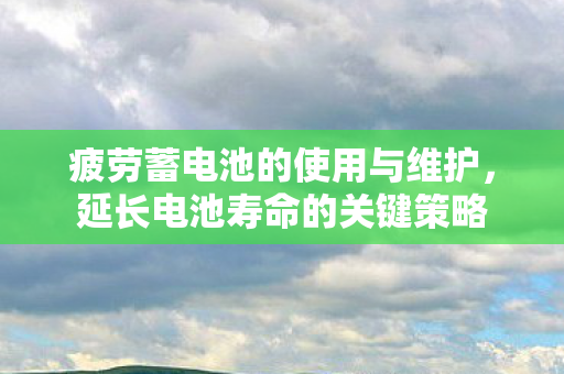疲劳蓄电池的使用与维护图片