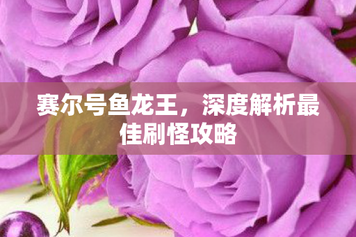深度解析最佳刷怪攻略图片