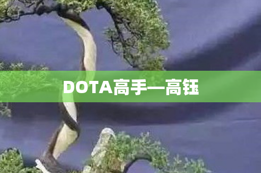 DOTA高手图片