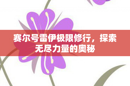 赛尔号雷伊极限修行图片
