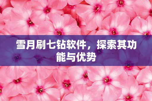 探索其功能与优势图片