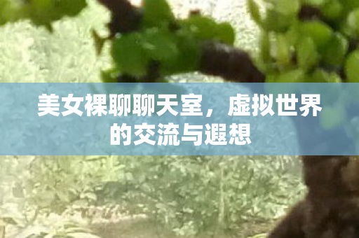 虚拟世界的交流与遐想图片