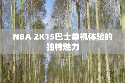 NBA 2K15巴士单机体验的独特魅力图片