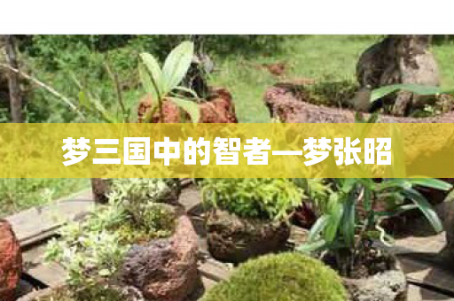 梦三国中的智者图片
