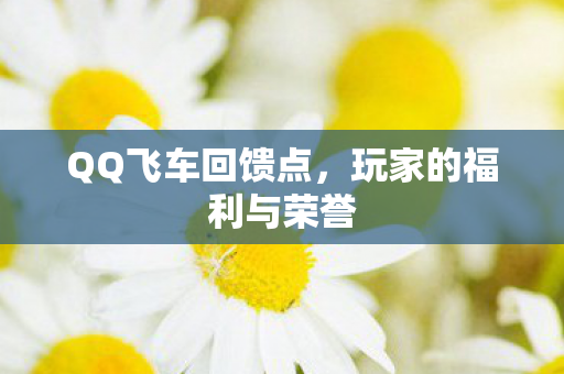 玩家的福利与荣誉图片