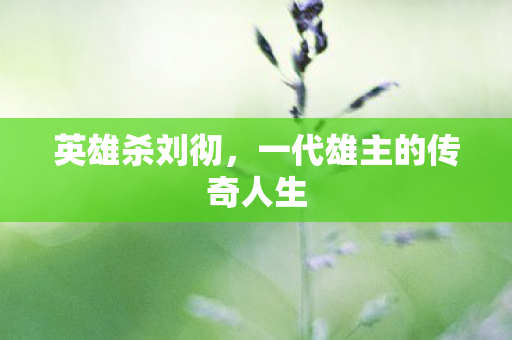 一代雄主的传奇人生图片