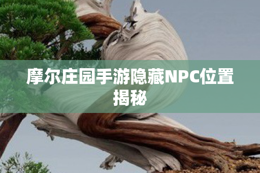 摩尔庄园手游隐藏NPC位置揭秘图片