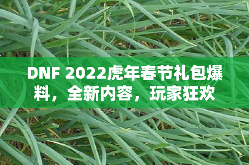 DNF 2022虎年春节礼包爆料图片