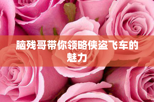 脑残哥带你领略侠盗飞车的魅力图片