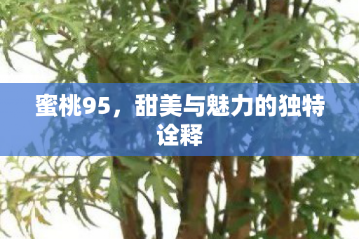 甜美与魅力的独特诠释图片
