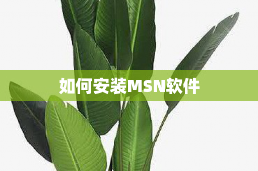 如何安装MSN软件图片