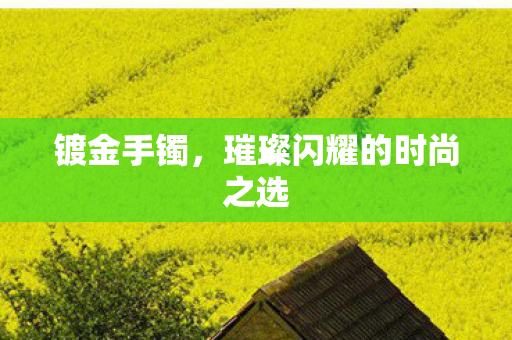璀璨闪耀的时尚之选图片