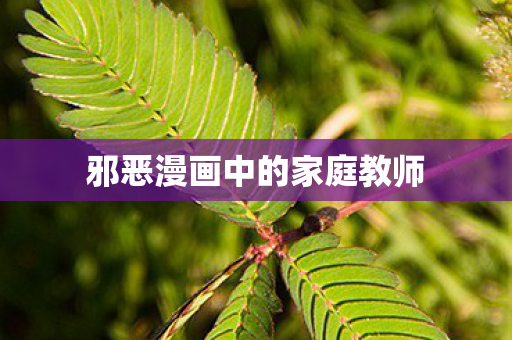 邪恶漫画中的家庭教师图片