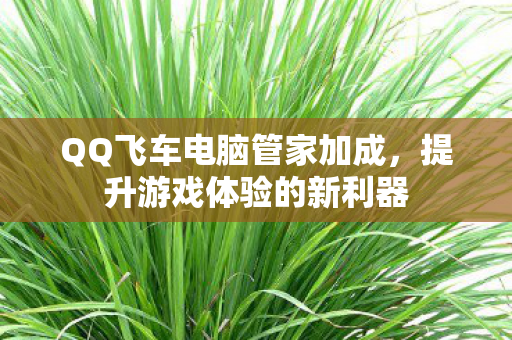 QQ飞车电脑管家加成图片