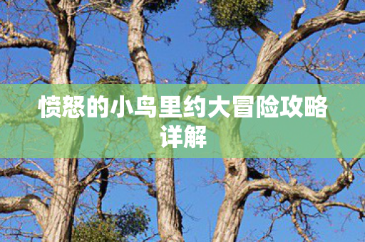 愤怒的小鸟里约大冒险攻略详解图片