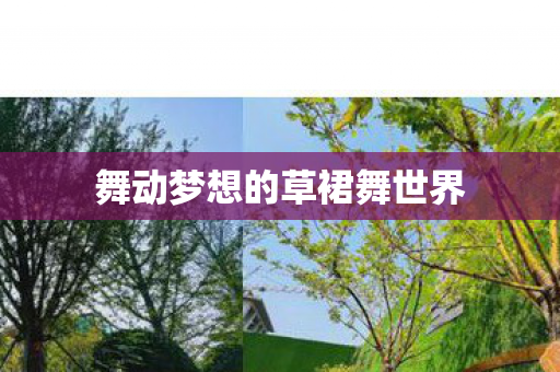 舞动梦想的草裙舞世界图片